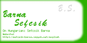 barna sefcsik business card